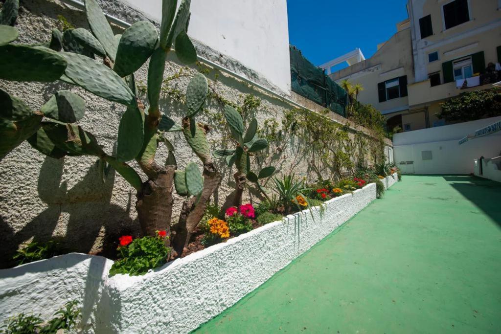 イスキアにあるTra centro e mareの歩道の花と植物を囲む塀