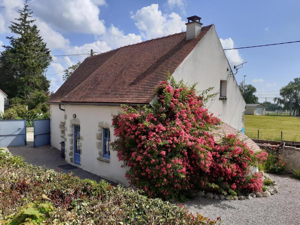 a white house with a large bush of flowers on it at Gîte Louchy-Montfand, 3 pièces, 4 personnes - FR-1-489-178 in Louchy-Montfand