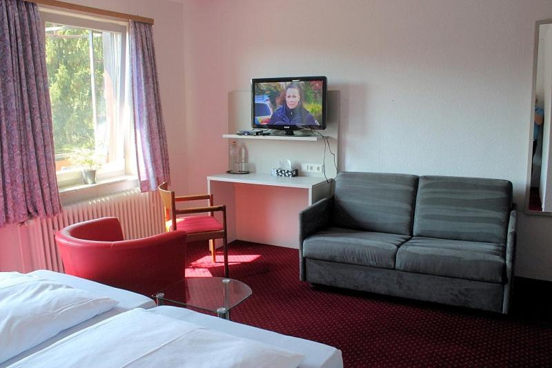 TV a/nebo společenská místnost v ubytování Hotel-Pension Waldhaus