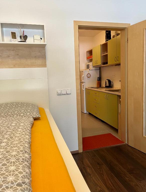 Kuchyň nebo kuchyňský kout v ubytování Apartmán u Tesáka - Říčky v Orlických horách