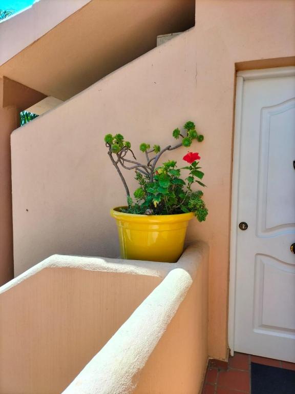 Derechos de imagen reservados por Booking.com