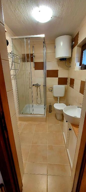 Studio apartman Buteo - 