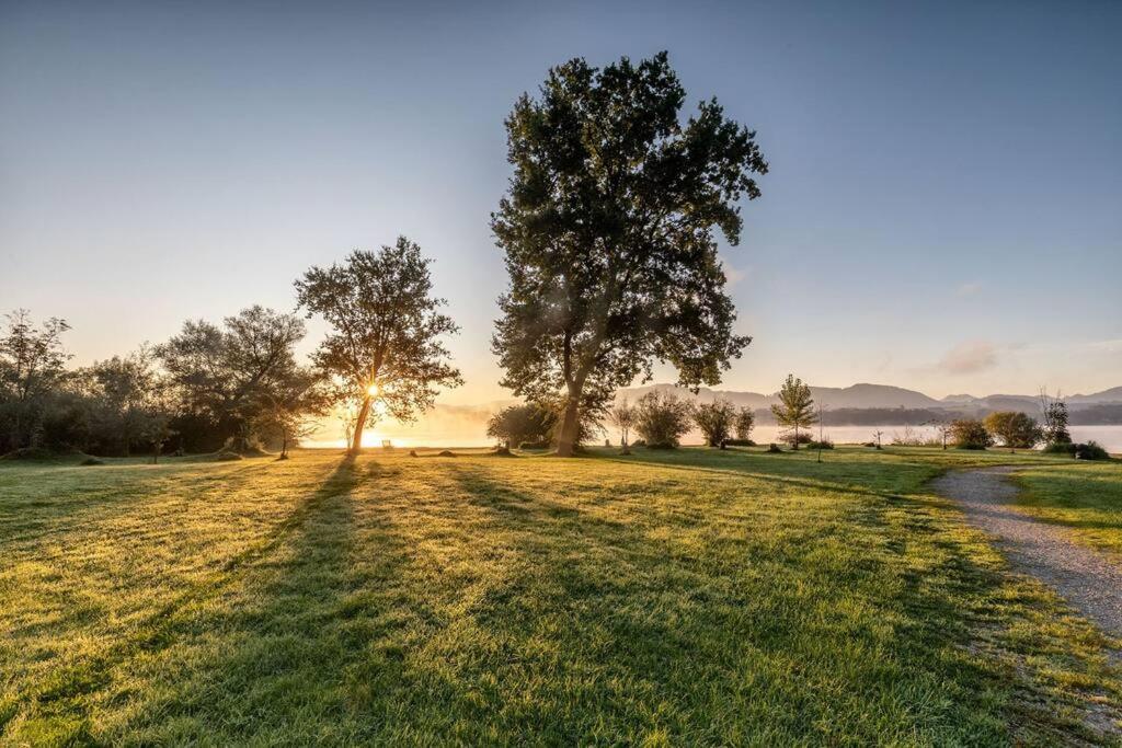 a grassy field with trees and a path at CHALETS MERCURE am Wallersee zum Vermieten in Helming