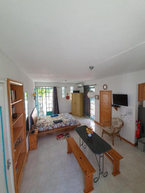 TV a/nebo společenská místnost v ubytování Appartement & Studio Lolla