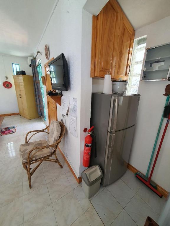 Kuchyň nebo kuchyňský kout v ubytování Appartement & Studio Lolla