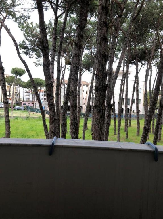 Apartament 8 - Image 15