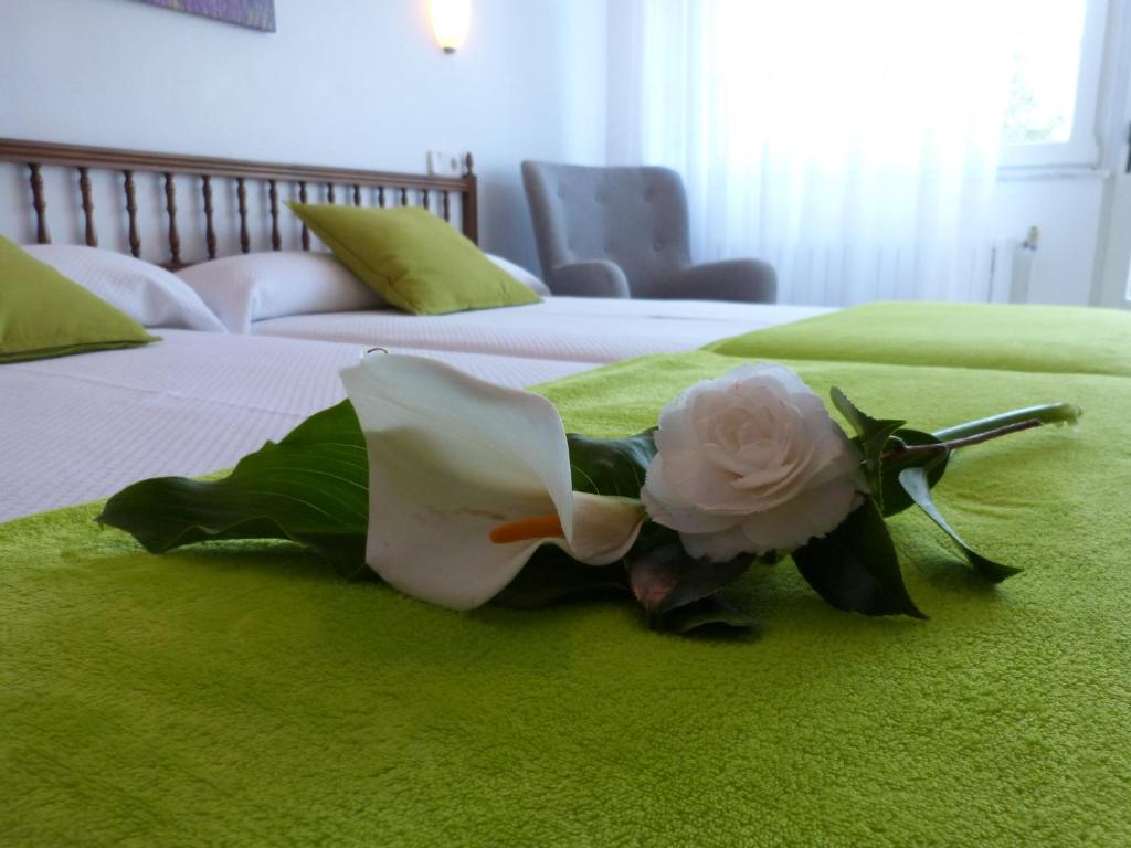 una flor en la parte superior de una cama en Hostal Pereiriña, en Cee