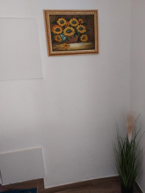 Fotografia z galérie ubytovania Juras2 v destinácii Senj