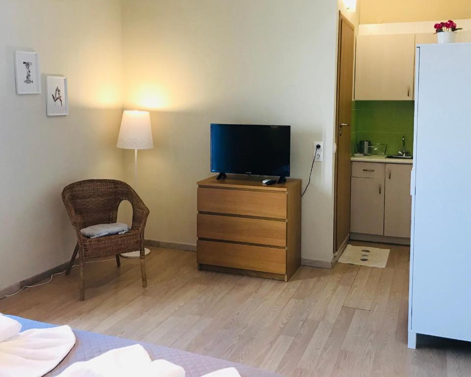 TV a/nebo společenská místnost v ubytování Kappa & Lamda Apartments
