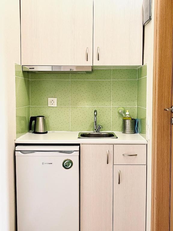 Kuchyň nebo kuchyňský kout v ubytování Kappa & Lamda Apartments