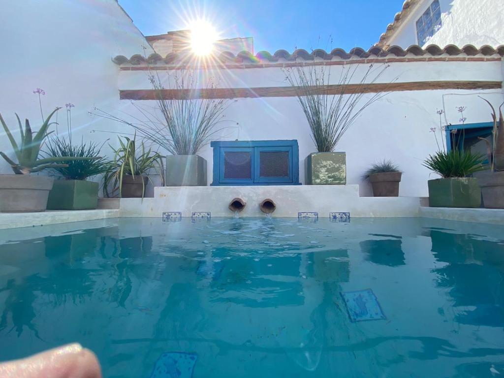 una piscina frente a una casa con plantas en Casa Cuqui en Orgaz