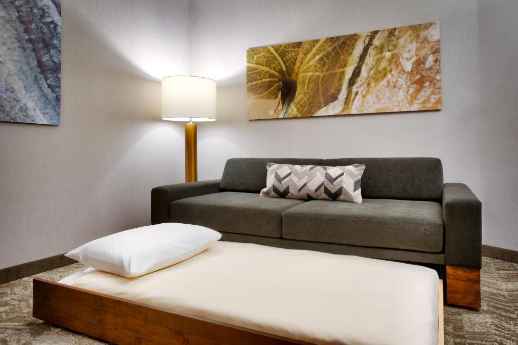 Posezení v ubytování SpringHill Suites by Marriott Cottonwood