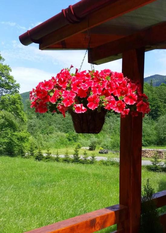 Zahrada ubytování Motel “La Butuci”