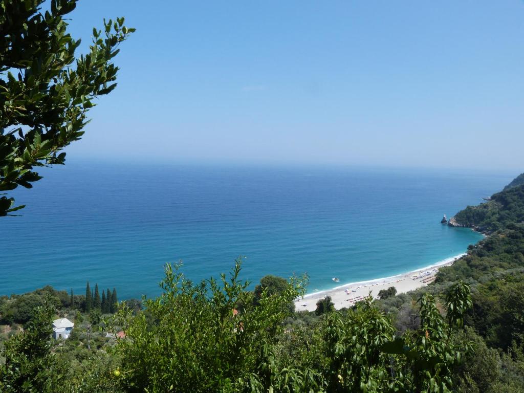 Táj Show holiday homes közelében