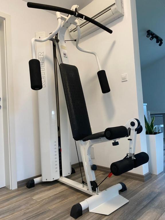 Fitness centrum a/nebo fitness zařízení v ubytování Apartma Fojana