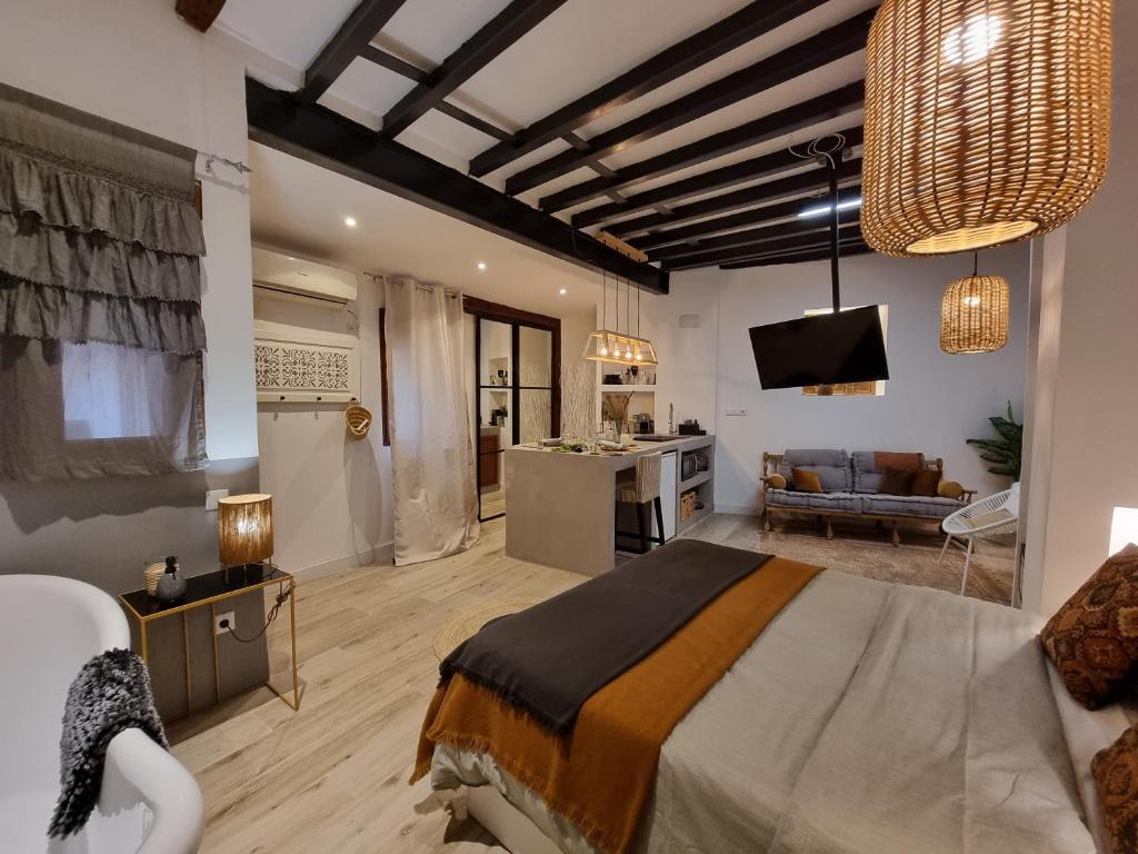 Lofts amantes de Toledo -LOFT SAGRARIO - 5