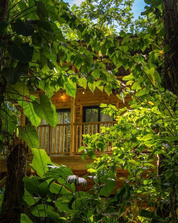 Κήπος έξω από το Palmar Beach Lodge