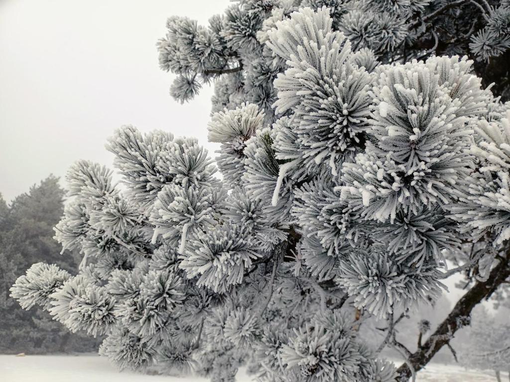 El Rinconcico during the winter