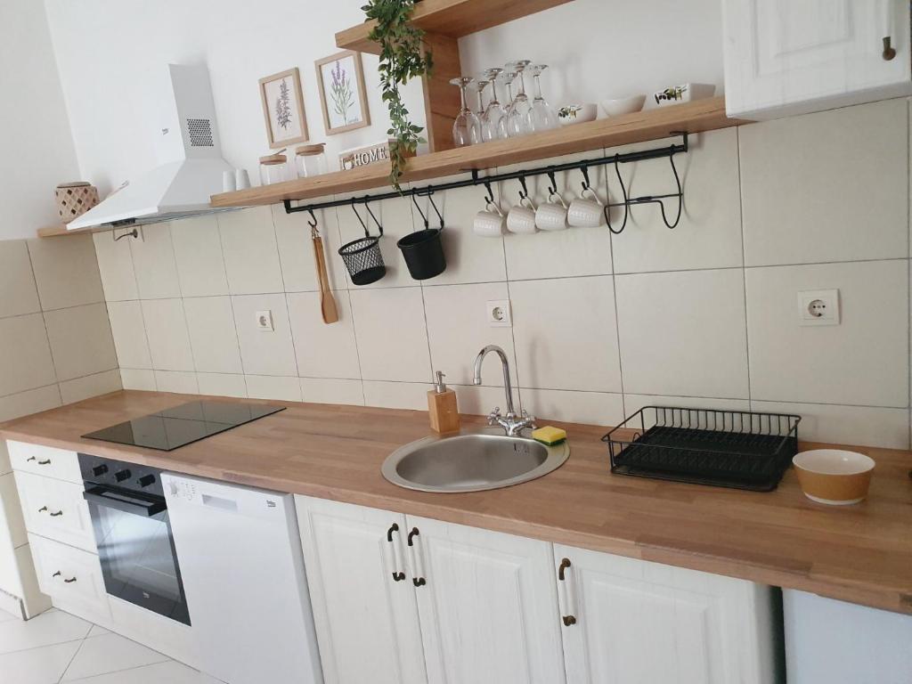 a kitchen with a sink and a counter top at Apartment Macic Dub II in Kotor