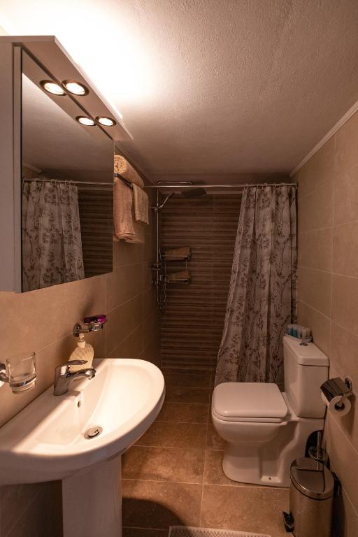 A bathroom at Filocsenia luxury apartment at tsoutsouras