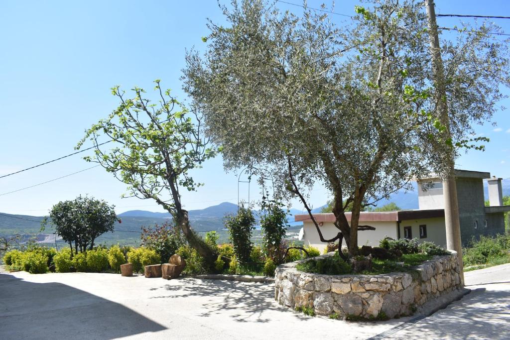 a garden with two trees and a stone wall at Apartment Macic Dub II in Kotor