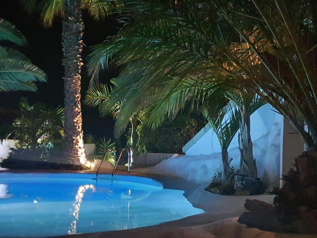 a swimming pool with palm trees at night at Villa Adriano in Sabina Alta