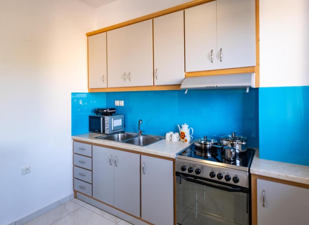 A kitchen or kitchenette at Filocsenia luxury apartment at tsoutsouras