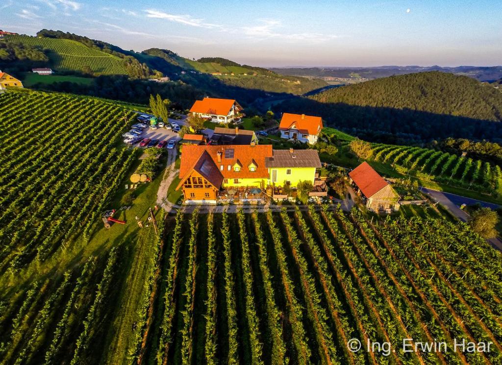eine Luftansicht eines Hauses auf einem Weinberg in der Unterkunft Weingut Reiterer in Kitzeck im Sausal
