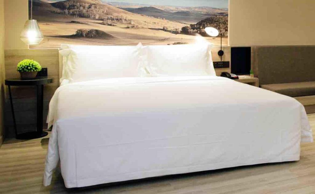 Atour Hotel Hohhot Drum Tower Manduhai - Deluxe Double Room