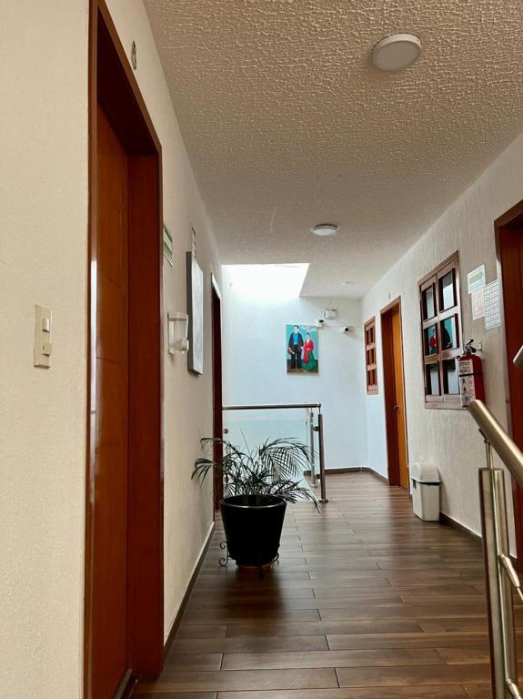 Fotografie z fotogalerie ubytování Hotel Casa Frida v destinaci Cuernavaca