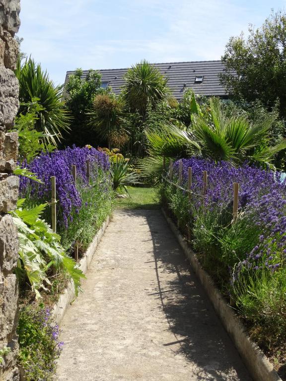 Zahrada ubytování Studio "LA MEDINA", PISCINE dès le 12 juillet, JARDIN BOTANIQUE, COMMERCES &MER