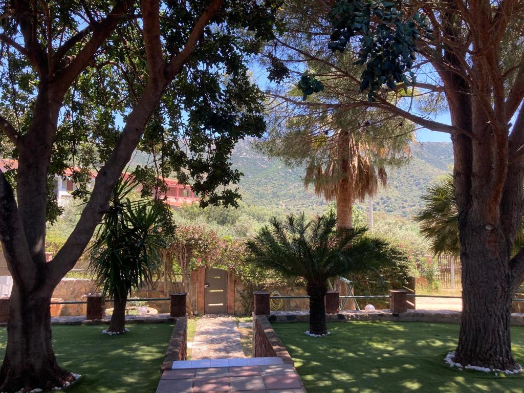 a view of a garden with trees and a building at Villa Lidia per una vacanza di relax in Solanas