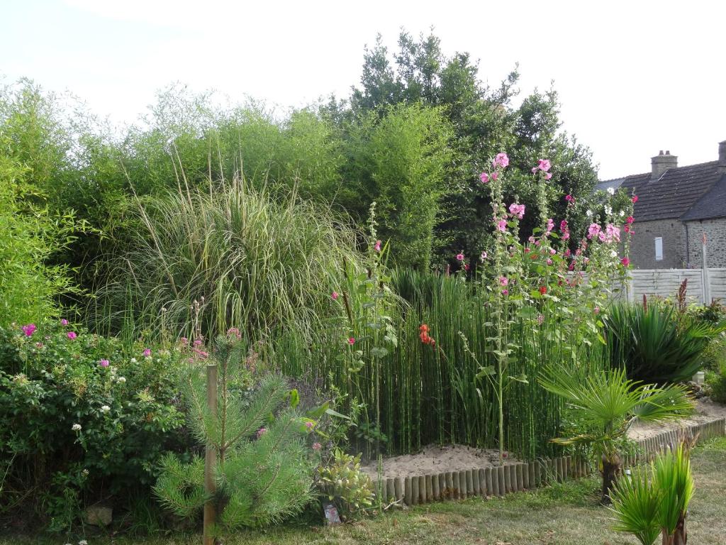 Zahrada ubytování Studio "LA MEDINA", PISCINE dès le 12 juillet, JARDIN BOTANIQUE, COMMERCES &MER