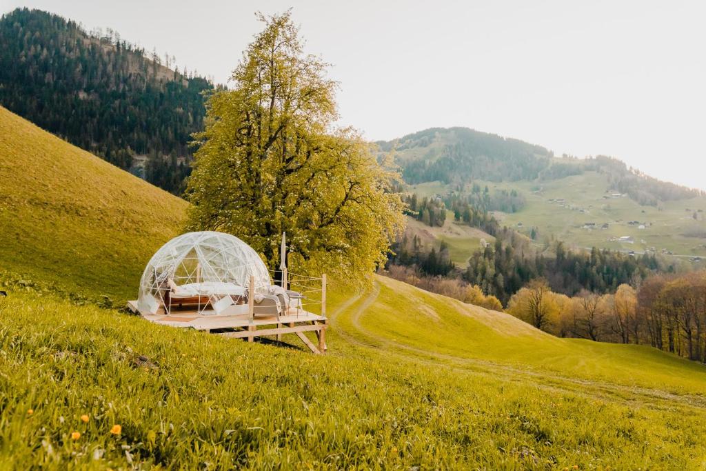 ein Haus an der Seite eines grasbewachsenen Hügels in der Unterkunft Bubble-Suite in Graubünden in Versam
