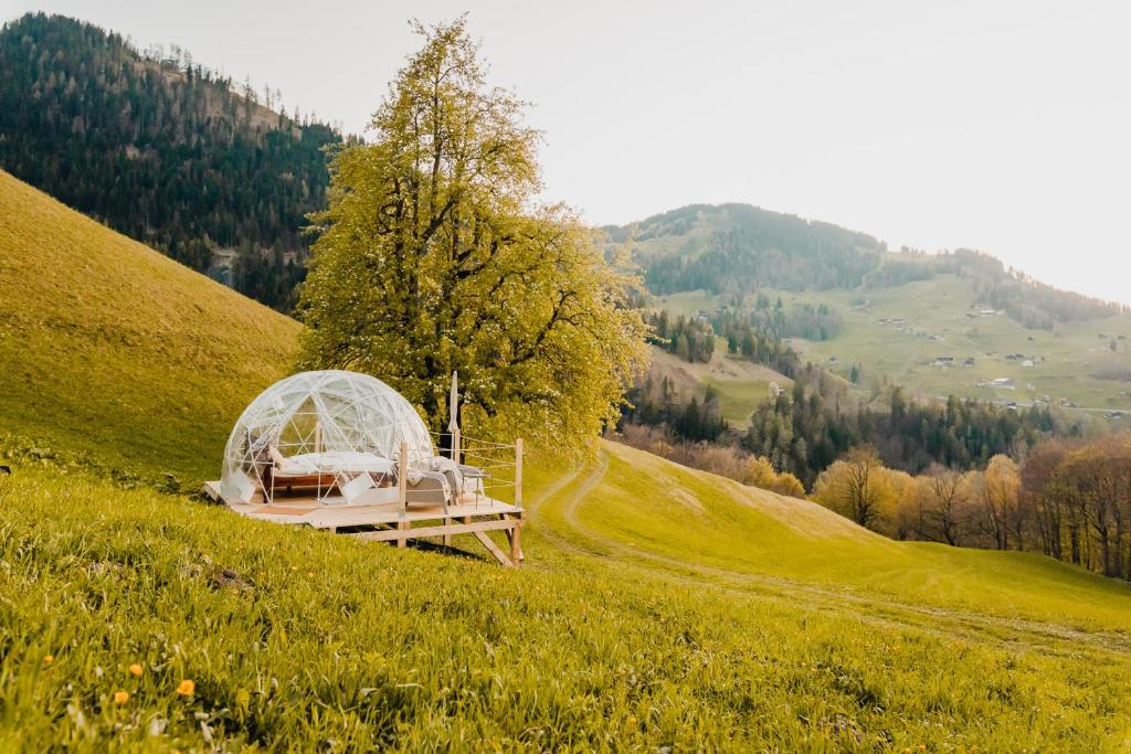 a house on the side of a grassy hill at Bubble-Suite in Graubünden in Versam