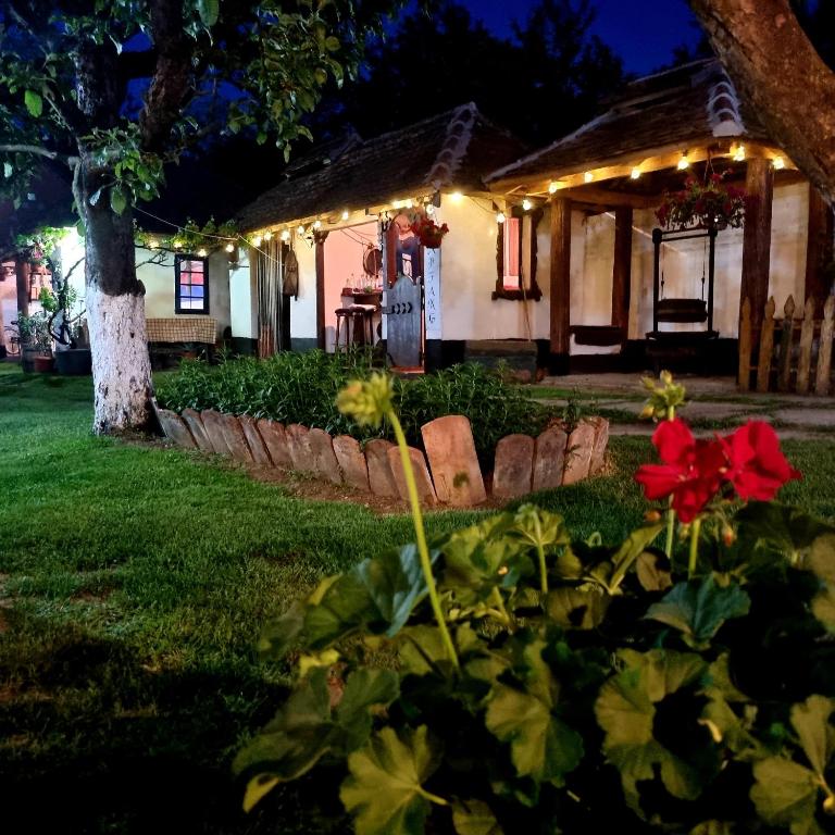 Zahrada ubytování Domacinstvo Cikic Zasavica