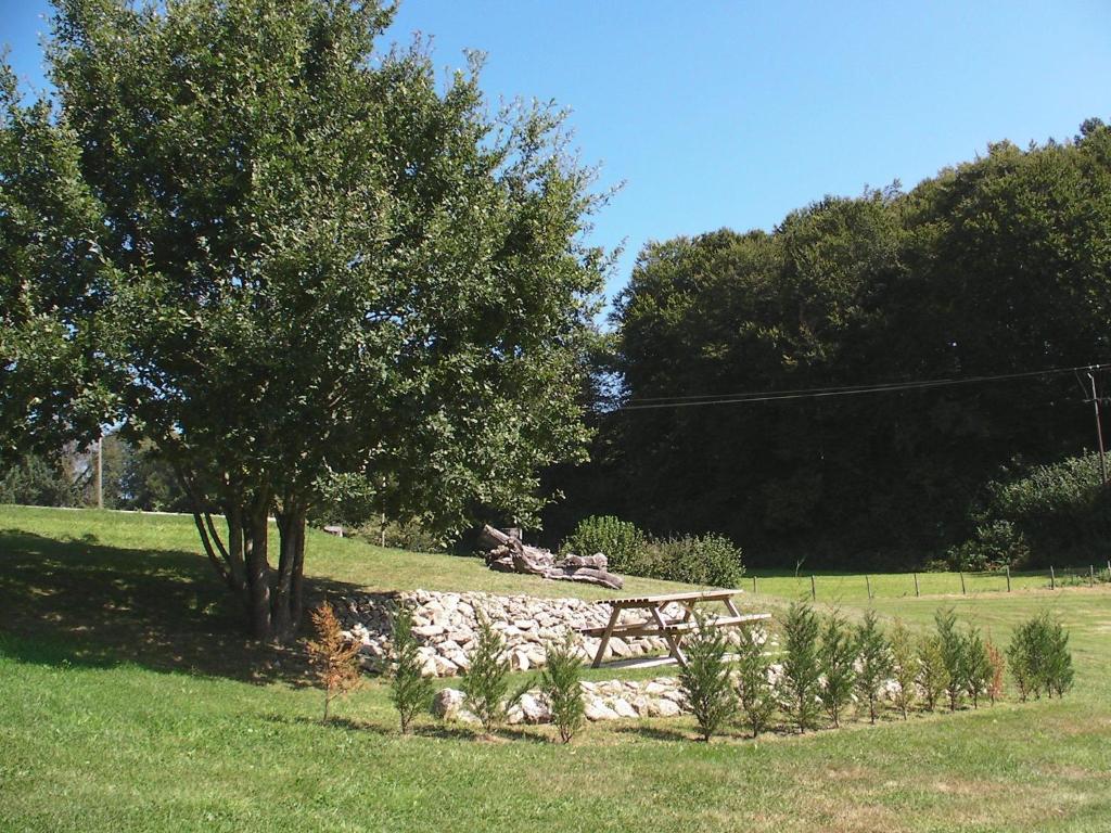 a park bench sitting under a tree in a field at Maison Chabrat in Liginiac