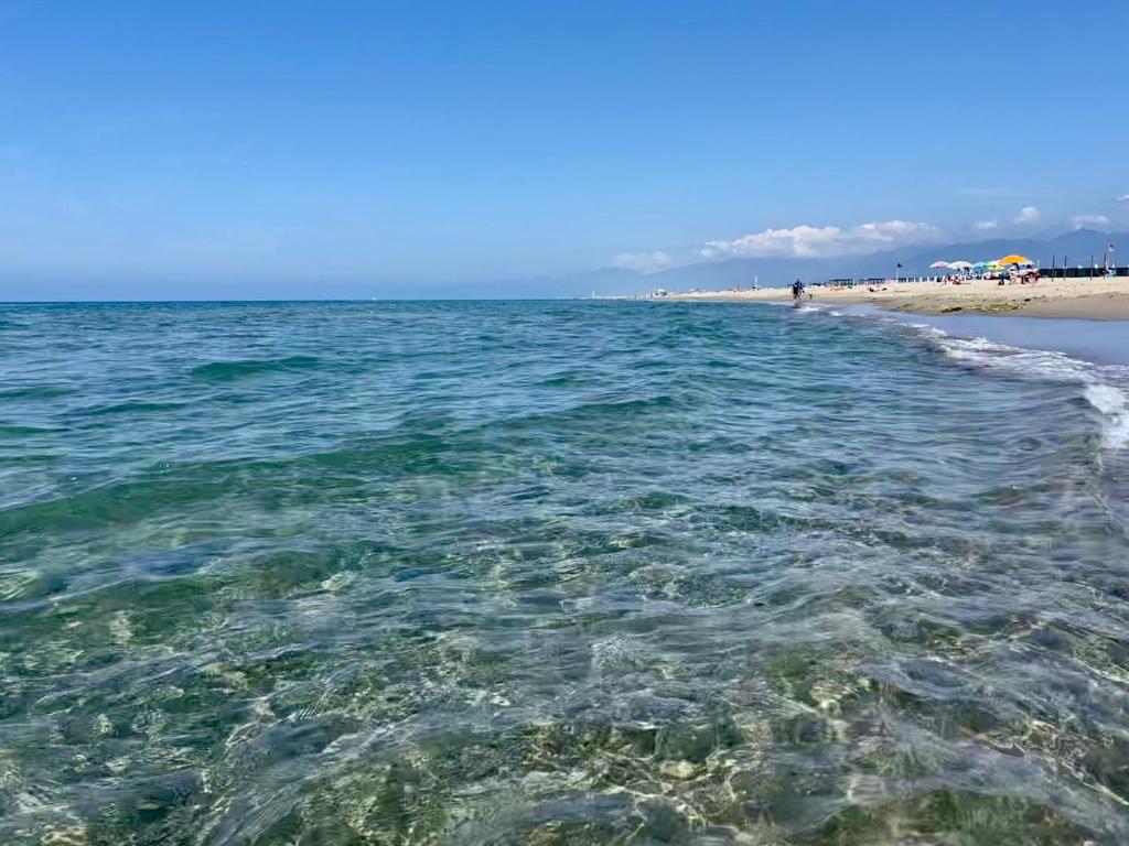 a body of water with a beach in the background at Villa Luminosa in Torre del Lago Puccini