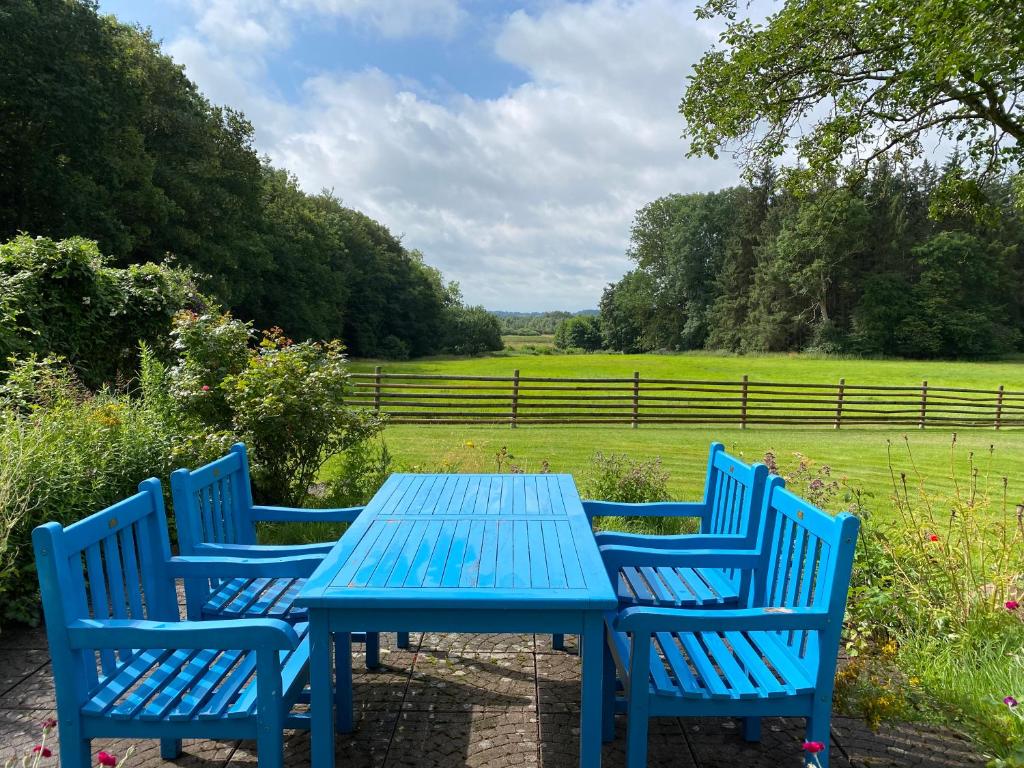 a blue table with three blue chairs and a field at Moorhuus - Paradies am Wilden Moor in Winnert