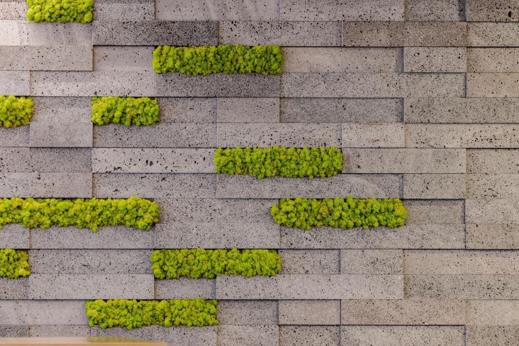 Neat Hotel Avenida - Resim 24