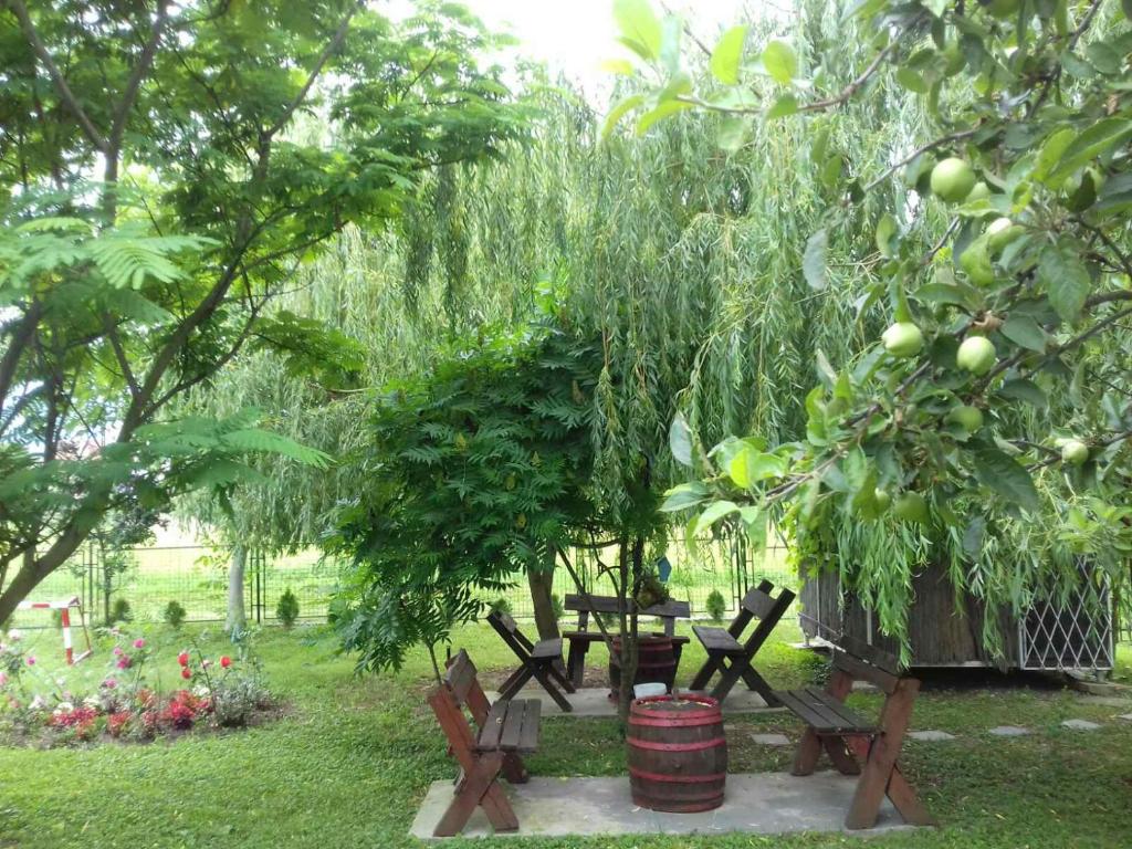 a group of picnic tables under a tree at Dusica in Vrnjačka Banja