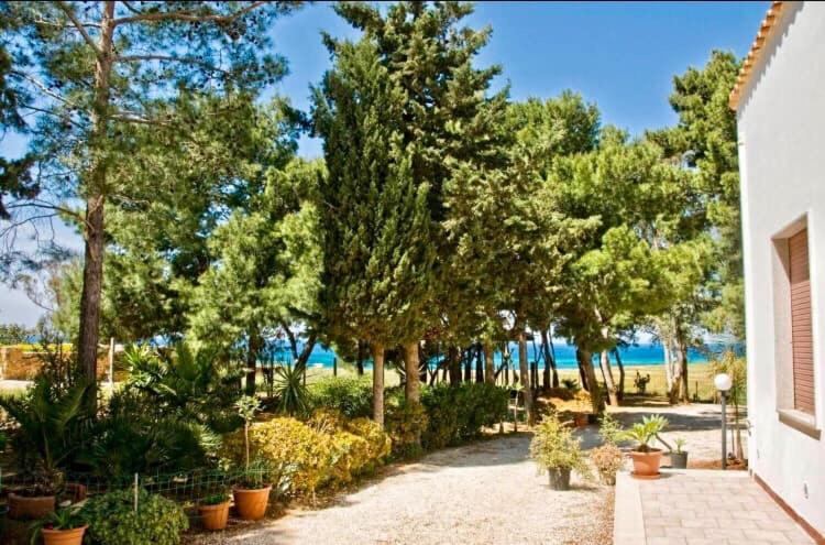 ogród z drzewami i roślinami na dziedzińcu w obiekcie Riserva Monte Cofano w mieście Castelluzzo