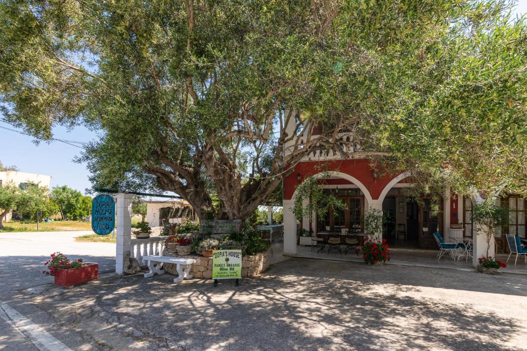 Fotografie z fotogalerie ubytování Dopia's Garden Studios v destinaci Vasilikos