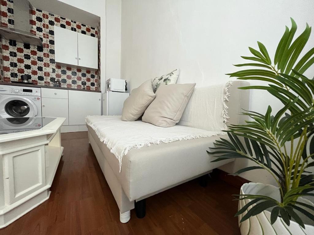 マラガにあるApartamentos Málaga centroの植物のあるリビングルームの白いソファ