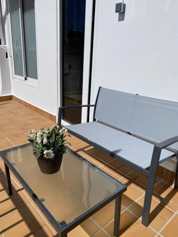 a glass coffee table with a potted plant on it at MonResidence Bellavista in Manresa