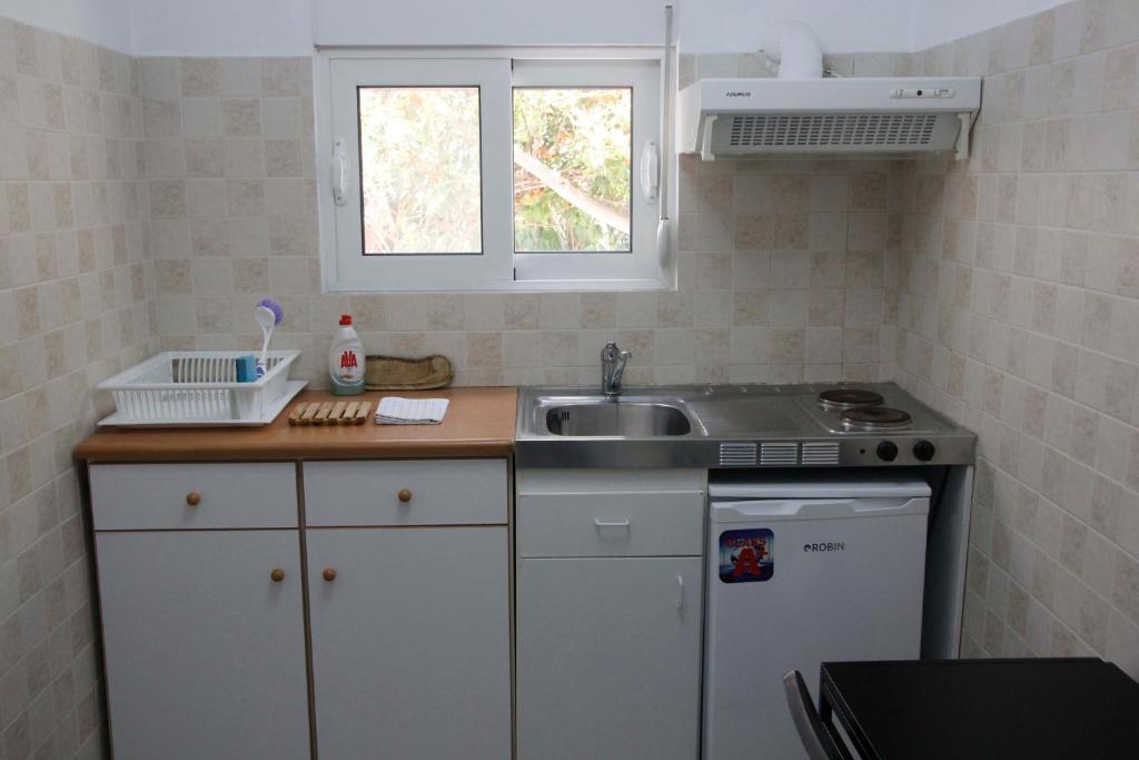 Kuchyň nebo kuchyňský kout v ubytování Milios Studios