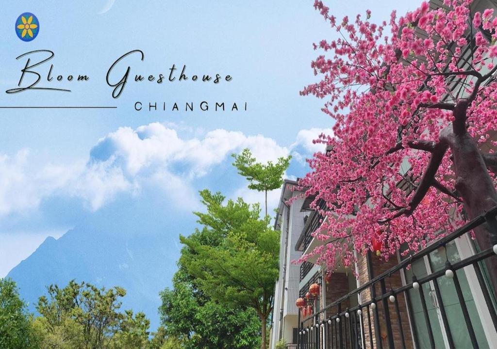 Bloom Guesthouse - Resim 1