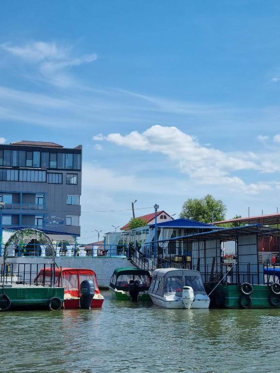 a group of boats docked in a body of water at La Marcu Pensiune in Tulcea