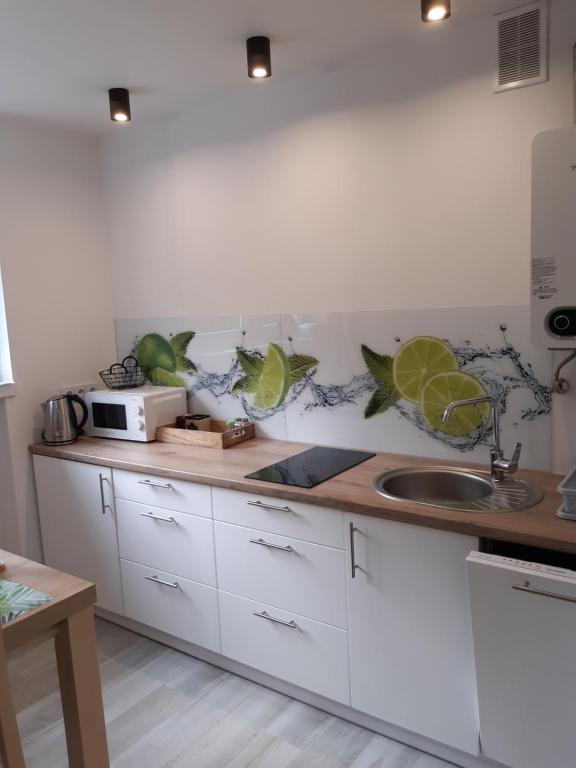 Kuchyňa alebo kuchynka v ubytovaní Apartament u Jankiego