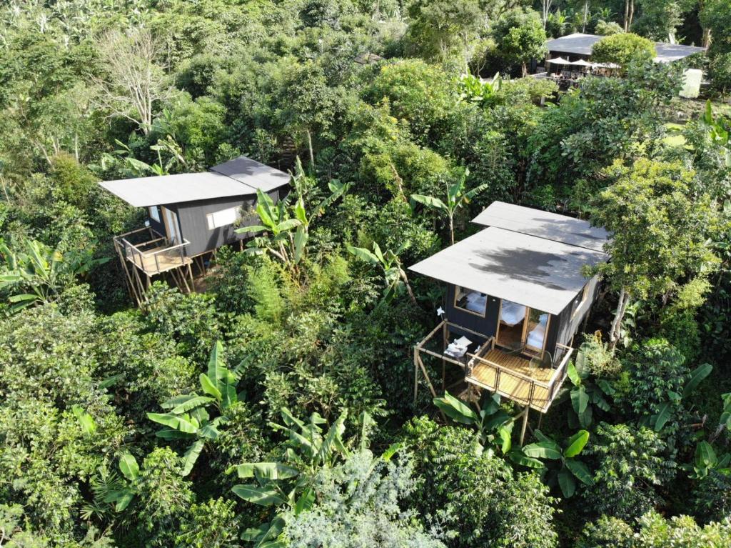 an overhead view of a house in the forest at Hotel La Palma y El Tucán in Zipacón